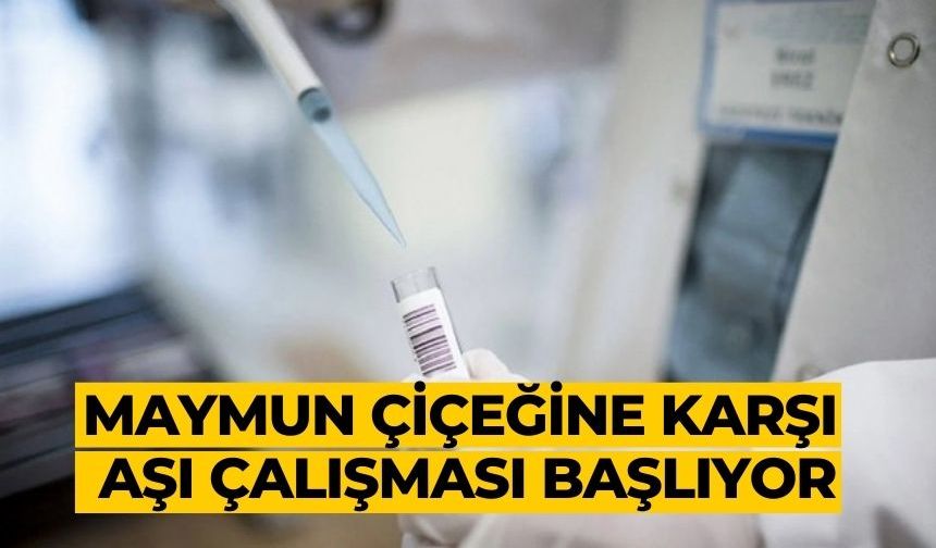 Maymun çiçeğine karşı aşı çalışması başlıyor