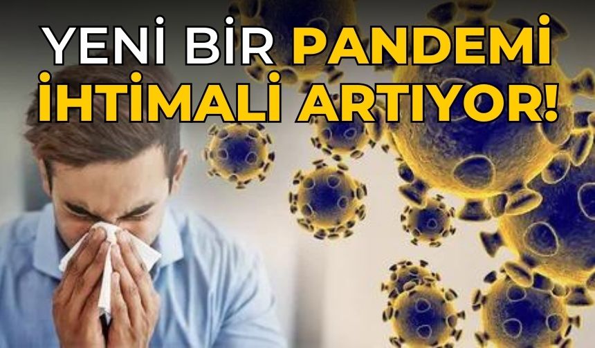 Yeni bir pandemi ihtimali artıyor!