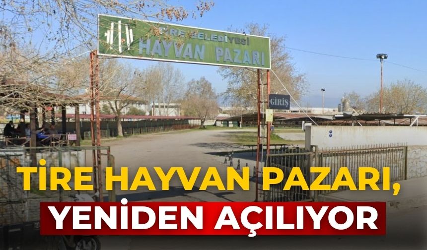 Tire Hayvan pazarı, yeniden açılıyor