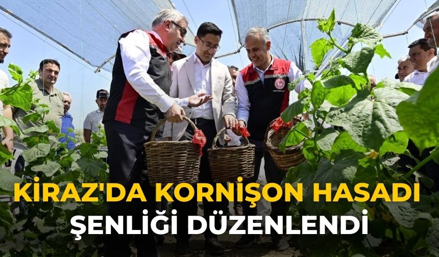 Kiraz'da Kornişon Hasadı Şenliği Düzenlendi