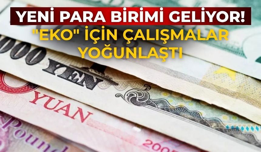 Yeni para birimi geliyor! "Eko" için çalışmalar yoğunlaştı