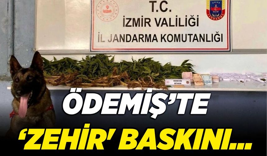 Ödemiş'te 'zehir' baskını...