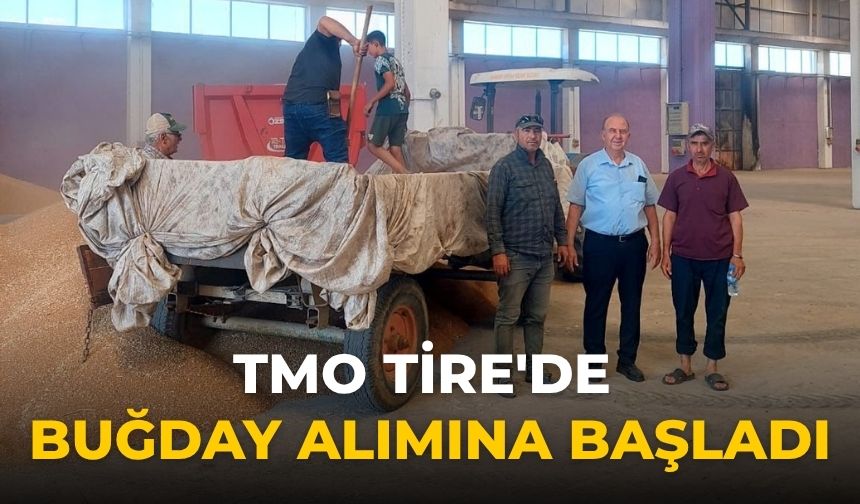 TMO Tire'de Buğday Alımına Başladı