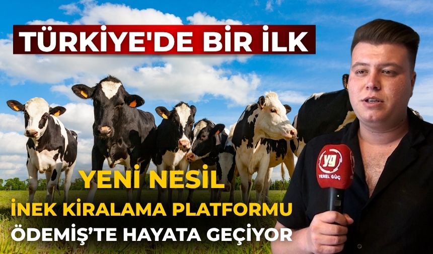 TÜRKİYE'DE BİR İLK  YENİ NESİL İNEK KİRALAMA PLATFORMU ÖDEMİŞ’TE HAYATA GEÇİYOR