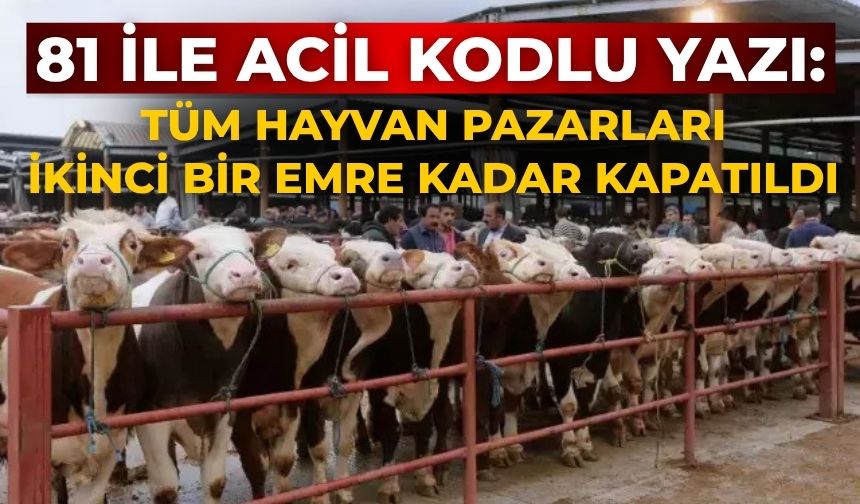 81 ile acil kodlu yazı: Tüm hayvan pazarları ikinci bir emre kadar kapatıldı
