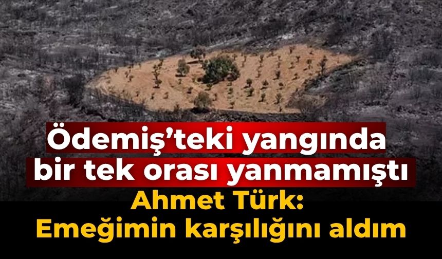Ödemiş’teki yangında bir tek orası yanmamıştı Ahmet Türk: Emeğimin karşılığını aldım