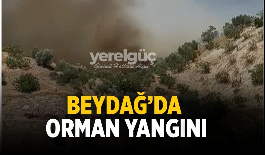 Beydağ’da orman yangını