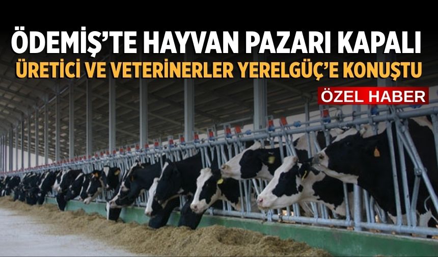 ÖDEMİŞ’TE HAYVAN PAZARI KAPALI ÜRETİCİ VE VETERİNERLER YERELGÜÇ’E KONUŞTU
