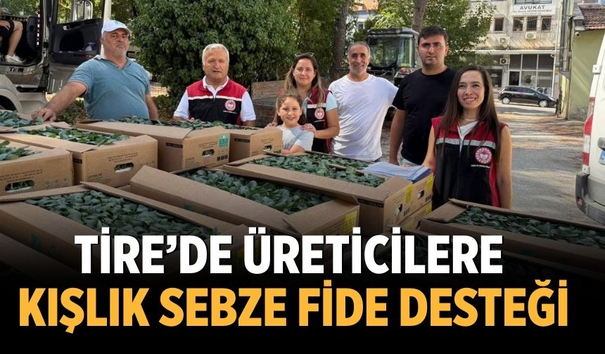 Tire’de üreticilere kışlık sebze fide desteği