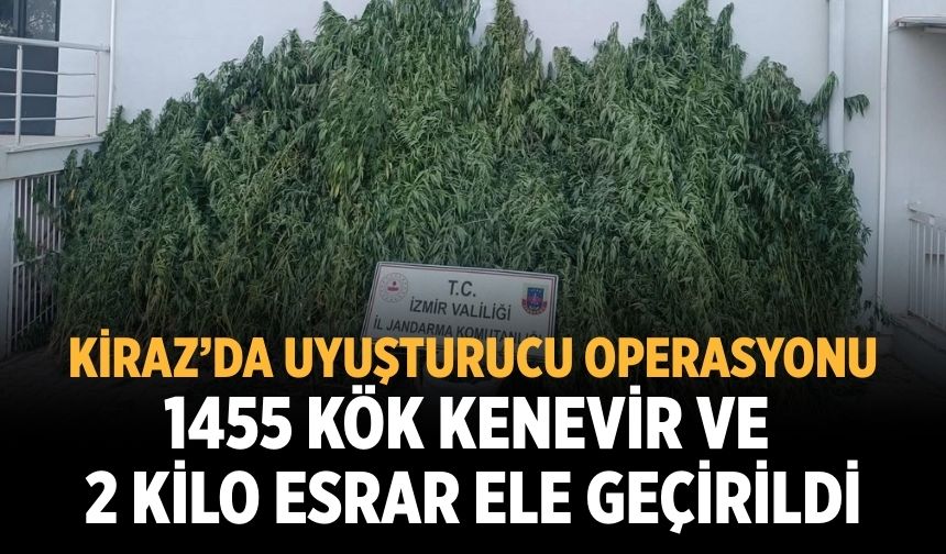 Kiraz’da uyuşturucu operasyonu 1455 kök kenevir ve 2 kilo esrar ele geçirildi