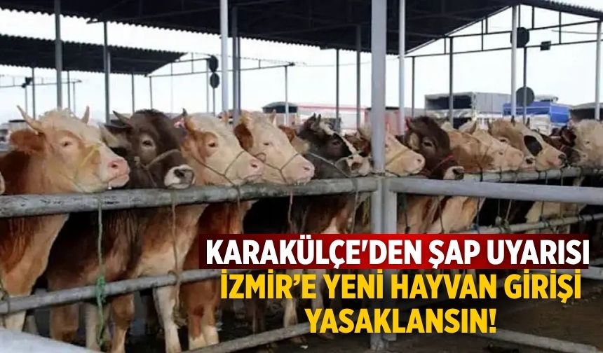 Karakülçe'den Şap uyarısı İzmir’e yeni hayvan girişi yasaklansın!