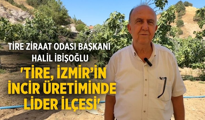Tire Ziraat Odası Başkanı Halil İbişoğlu 'Tire, İzmir’in İncir Üretiminde Lider İlçesi'