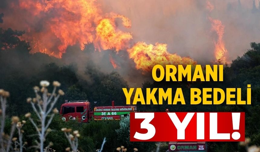 Ormanı yakma bedeli 3 yıl!