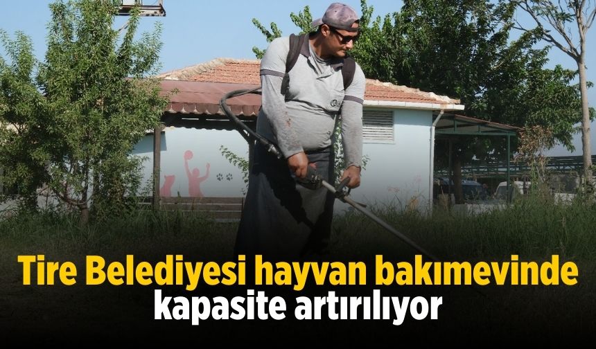 Tire Belediyesi hayvan bakımevinde kapasite artırılıyor