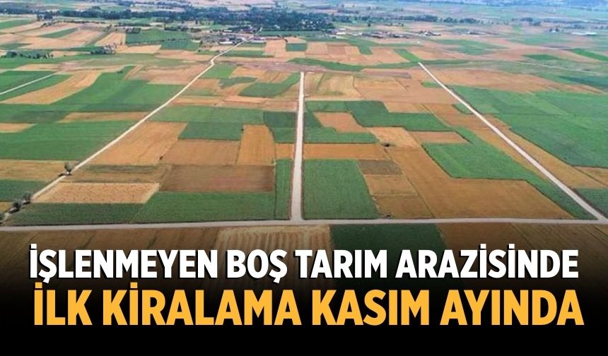 İşlenmeyen boş tarım arazisinde ilk kiralama kasım ayında