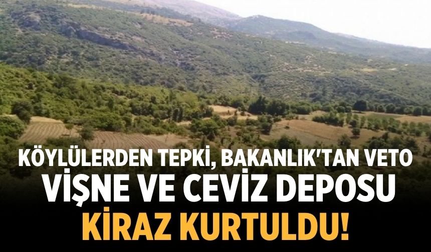 Vişne ve ceviz deposu Kiraz kurtuldu!