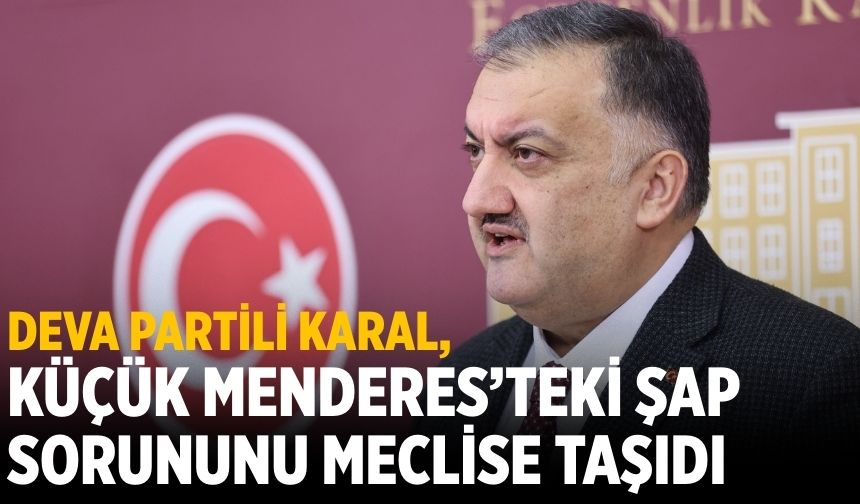 DEVA Partili Karal, Küçük Menderes’teki şap sorununu meclise taşıdı