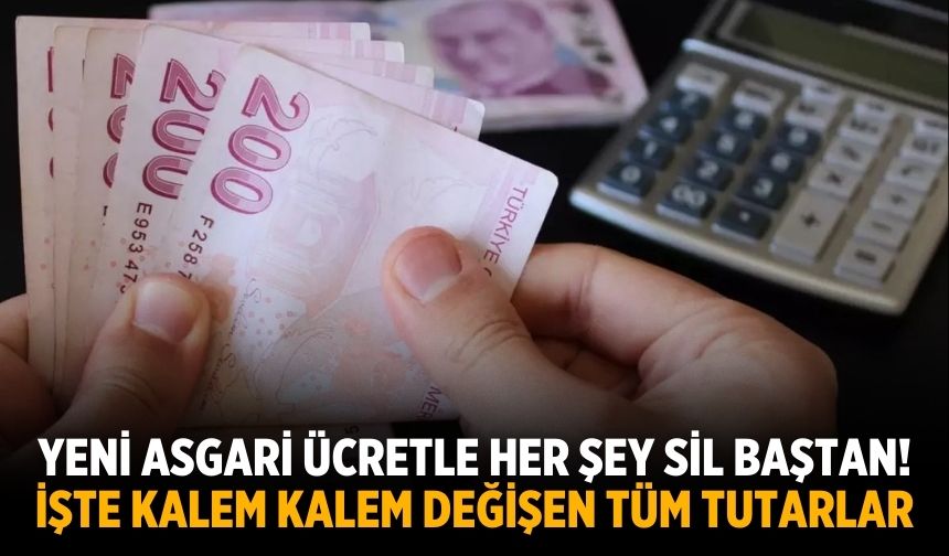 Yeni asgari ücretle her şey sil baştan! İşte kalem kalem değişen tüm tutarlar