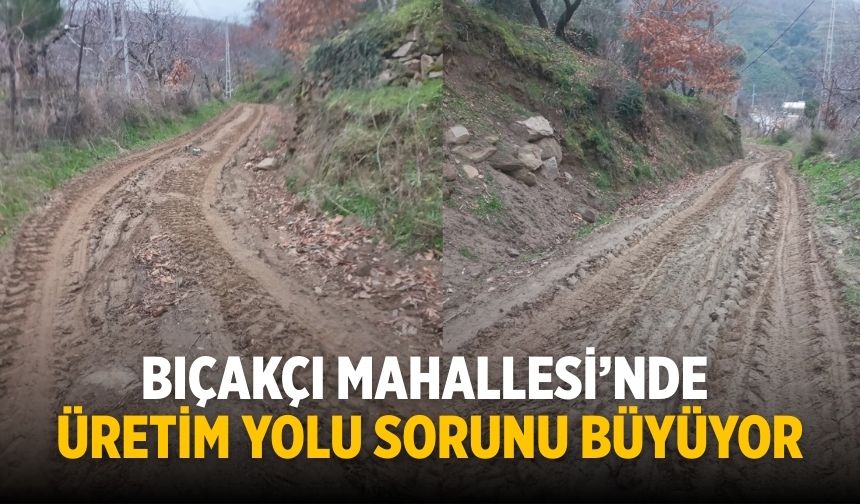 BIÇAKÇI MAHALLESİ’NDE ÜRETİM YOLU SORUNU BÜYÜYOR
