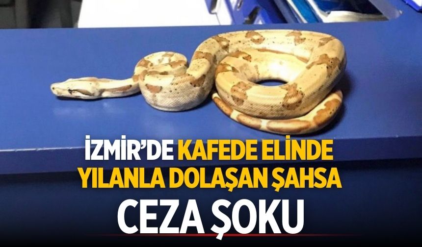 İzmir’de kafede elinde yılanla dolaşan şahsa ceza şoku