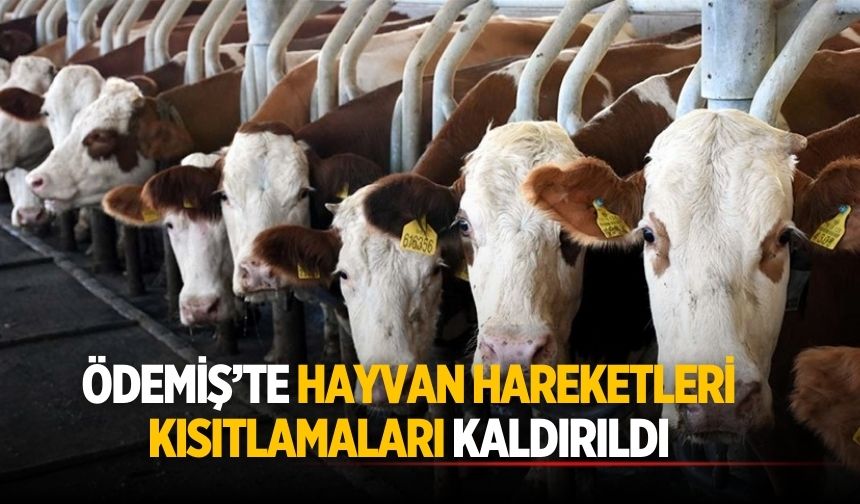Ödemiş’te Hayvan Hareketleri Kısıtlamaları Kaldırıldı
