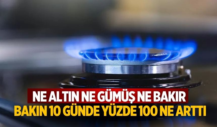 Ne altın ne gümüş ne bakır Bakın 10 günde yüzde 100 ne arttı