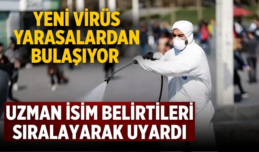 Yeni virüs yarasalardan bulaşıyor Uzman isim belirtileri sıralayarak uyardı