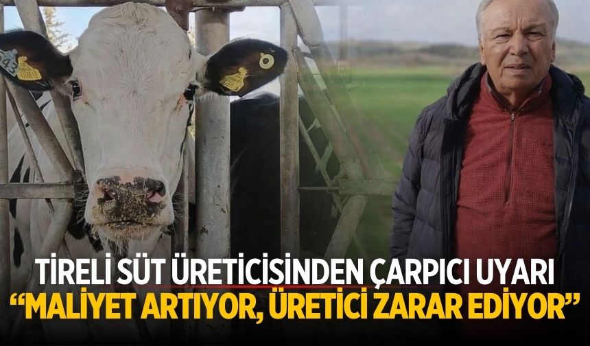 Tireli Süt üreticisinden çarpıcı uyarı “Maliyet artıyor, üretici zarar ediyor”