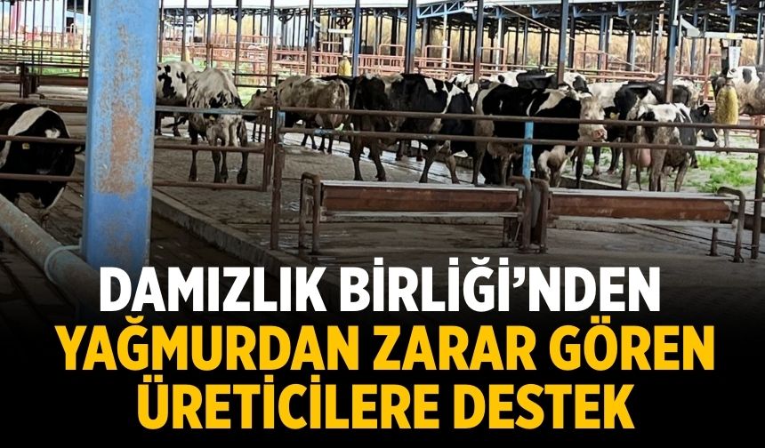 Damızlık Birliği’nden Yağmurdan Zarar Gören Üreticilere Destek