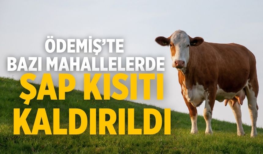 Ödemiş’te Bazı Mahallelerde Şap Kısıtı Kaldırıldı
