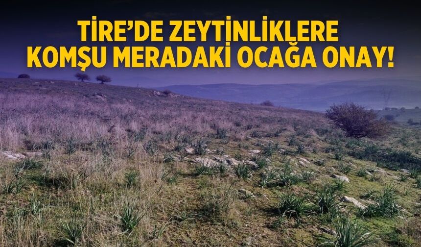 Tire’de Zeytinliklere komşu meradaki ocağa onay!