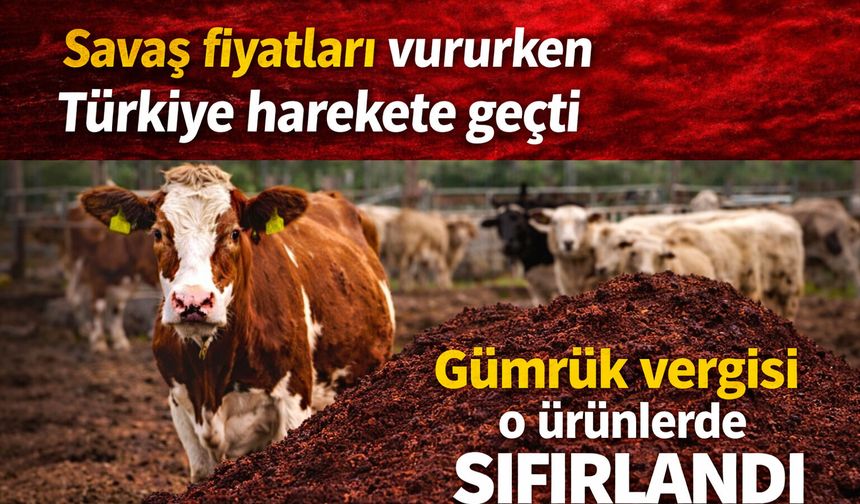 Savaş fiyatları vururken Türkiye harekete geçti Gümrük vergisi o ürünlerde sıfırlandı