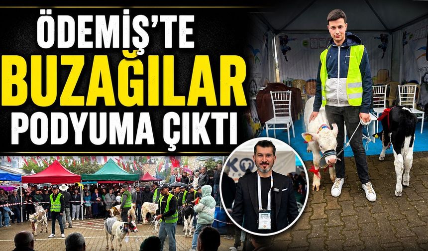 Ödemiş'te Buzağılar podyuma çıktı