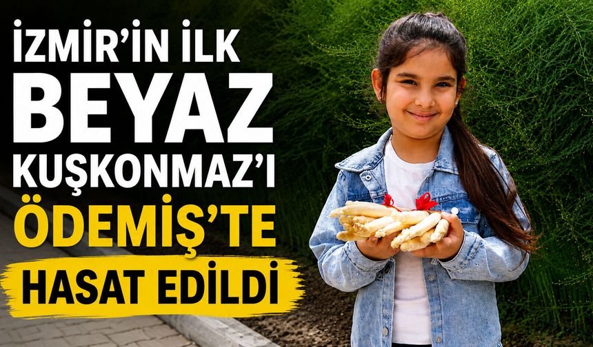 İZMİR’İN İLK BEYAZ KUŞKONMAZ’I ÖDEMİŞ’TE HASAT EDİLDİ