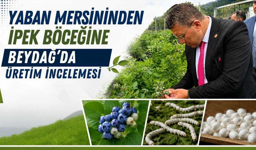 Yaban Mersininden İpek Böceğine Beydağ’da Üretim İncelemesi