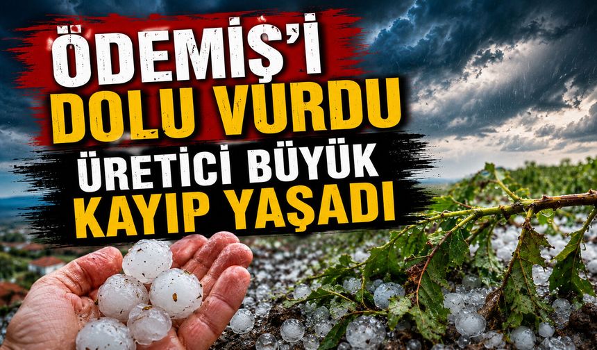 Ödemiş’i Dolu Vurdu Üretici Büyük Kayıp Yaşadı