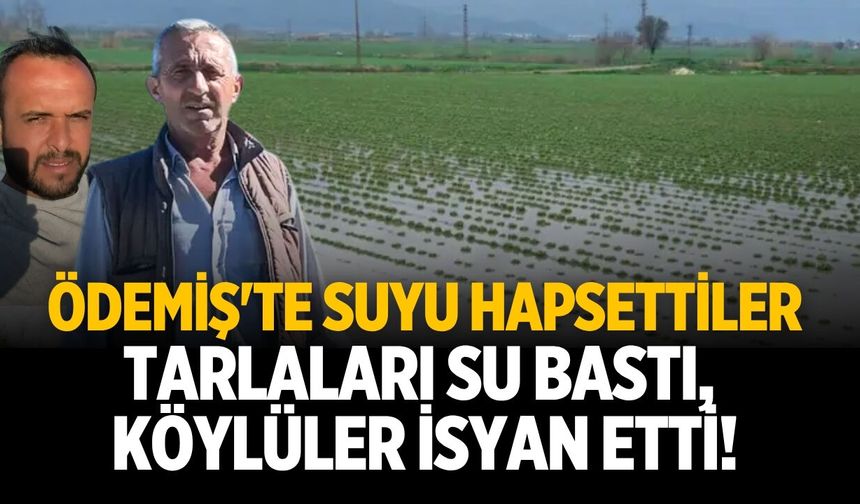 Ödemiş'te suyu hapsettiler Tarlaları su bastı, köylüler isyan etti!