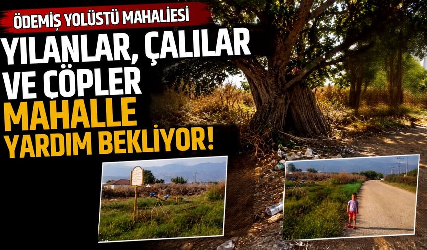 Ödemiş Yolüstü mahallesi Yılanlar, Çalılar ve Çöpler Mahalle Yardım Bekliyor