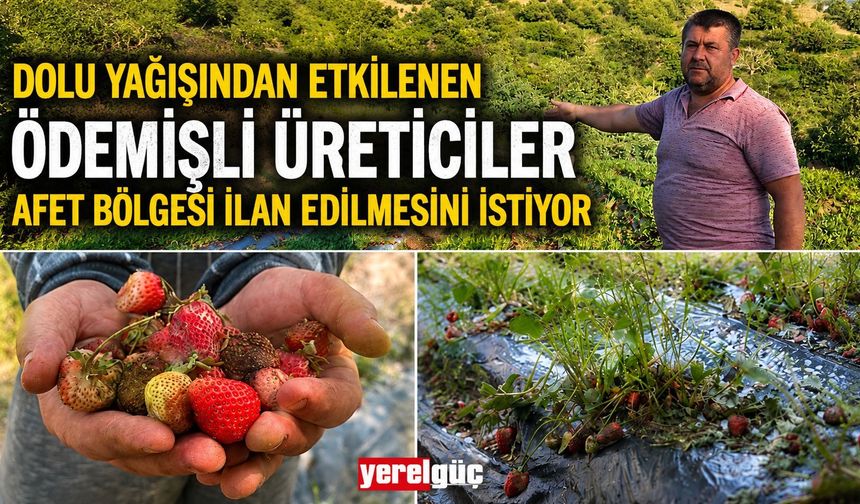 Dolu yağışından etkilenen Ödemişli Üreticiler Afet Bölgesi İlan edilmesini istiyor