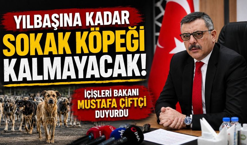 Yılbaşına kadar sokak köpeği kalmayacak! İçişleri Bakanı Mustafa Çiftçi duyurdu