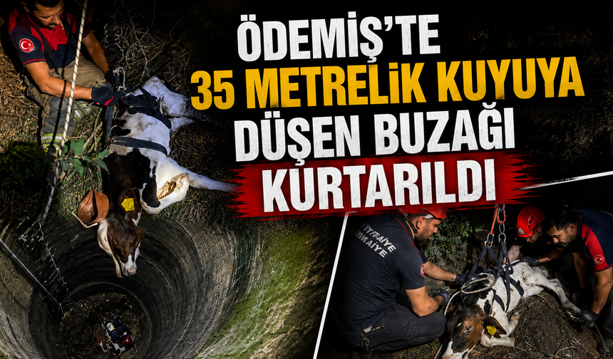 ÖDEMİŞ’TE 35 METRELİK KUYUYA DÜŞEN BUZAĞI KURTARILDI