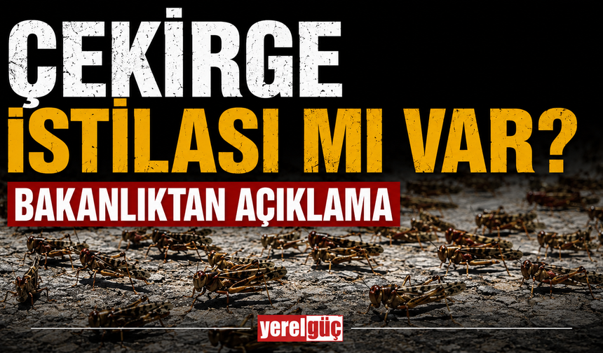 Çekirge istilası mı var? Bakanlıktan açıklama