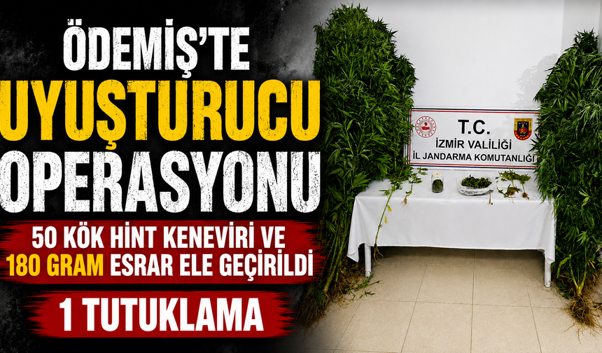 Ödemiş’te Uyuşturucu Operasyonu 50 Kök Hint Keneviri ve 180 Gram Esrar Ele Geçirildi 1 tutuklama