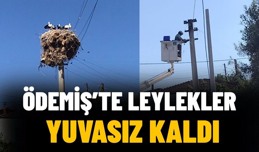 ÖDEMİŞ’TE LEYLEKLER YUVASIZ KALDI