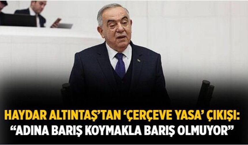 Haydar Altıntaş’tan ‘Çerçeve Yasa’ çıkışı: “Adına barış koymakla barış olmuyor”