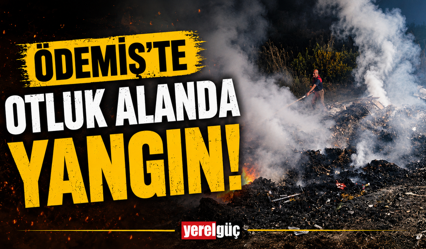 Ödemiş'te otluk alanda yangın!