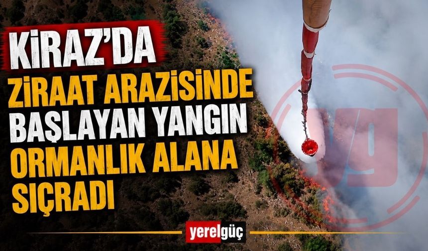 Kiraz’da Ziraat Arazisinde Başlayan Yangın Ormanlık Alana Sıçradı