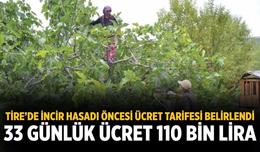 Tire’de İncir Hasadı Öncesi Ücret Tarifesi Belirlendi