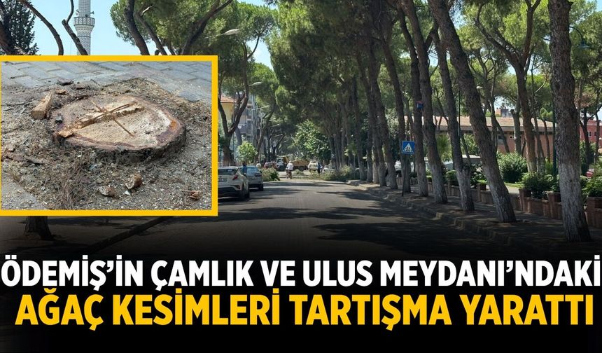 Ödemiş’in Çamlık ve Ulus Meydanı’ndaki Ağaç Kesimleri Tartışma Yarattı