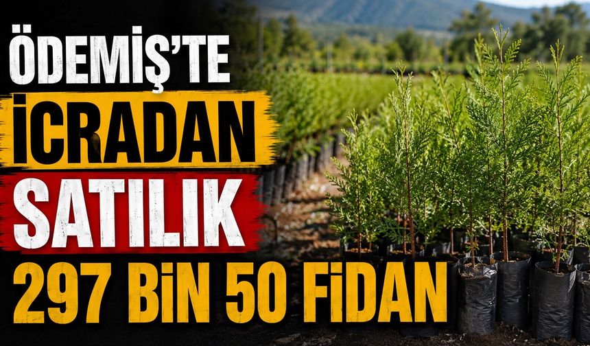 Ödemiş’te İcradan satılık 297 Bin 50 Fidan